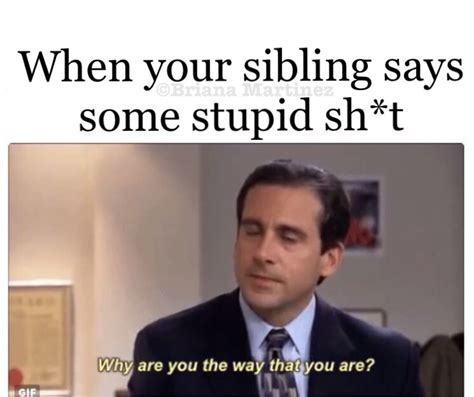 memes for siblings|27 Hilarious Sibling Memes That Capture the Chaos and Love of .